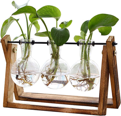 3 Vase Flower Plant Terrarium with Natural Wood Stand and Glass Vases for Plant Cuttings and Home Décor