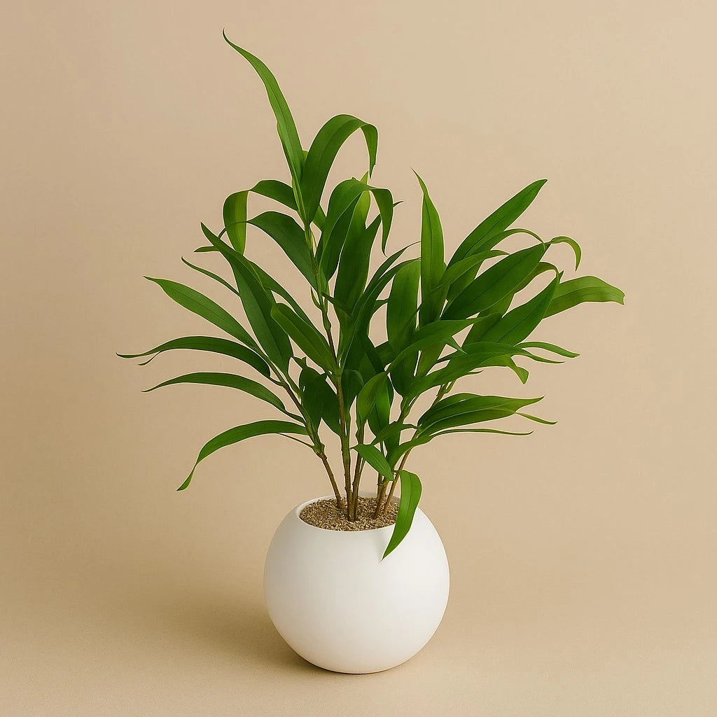 Modern Artificial Green Plant in White Round Pot