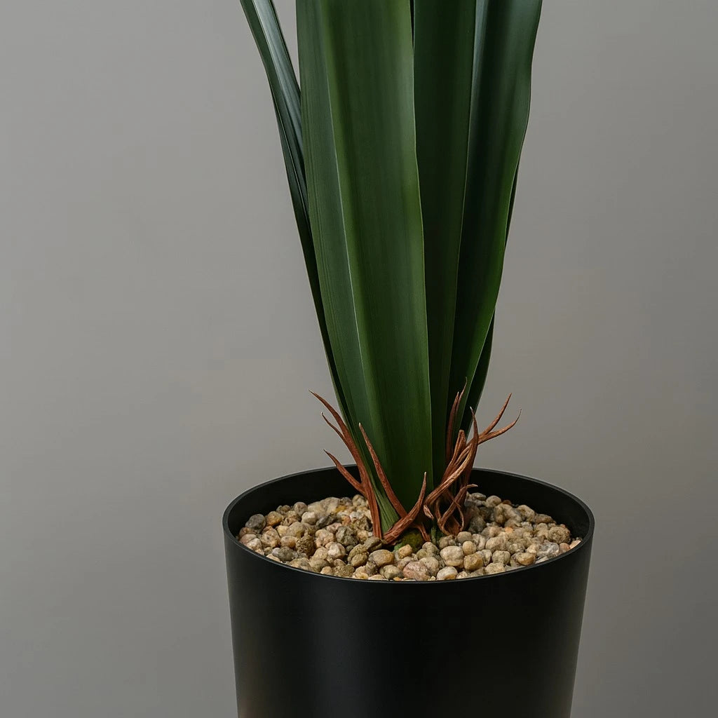 Artificial Dracaena Rubber-Leaf Plant – 50 cm