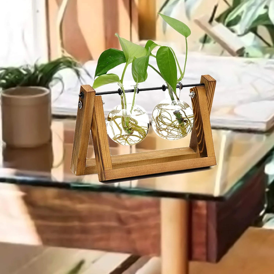 2 Vase Flower Plant Terrarium