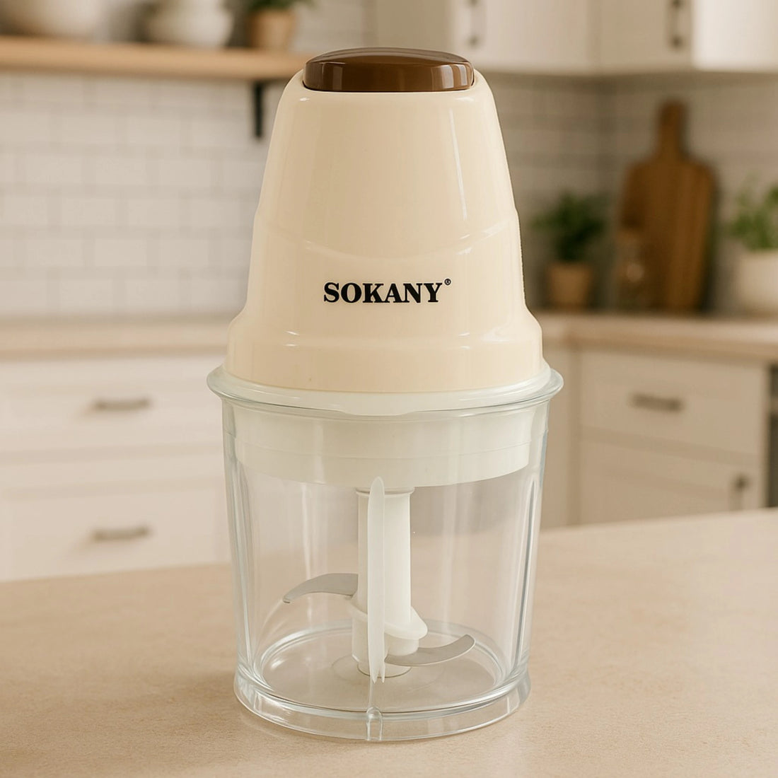 Mini Food Chopper 250W