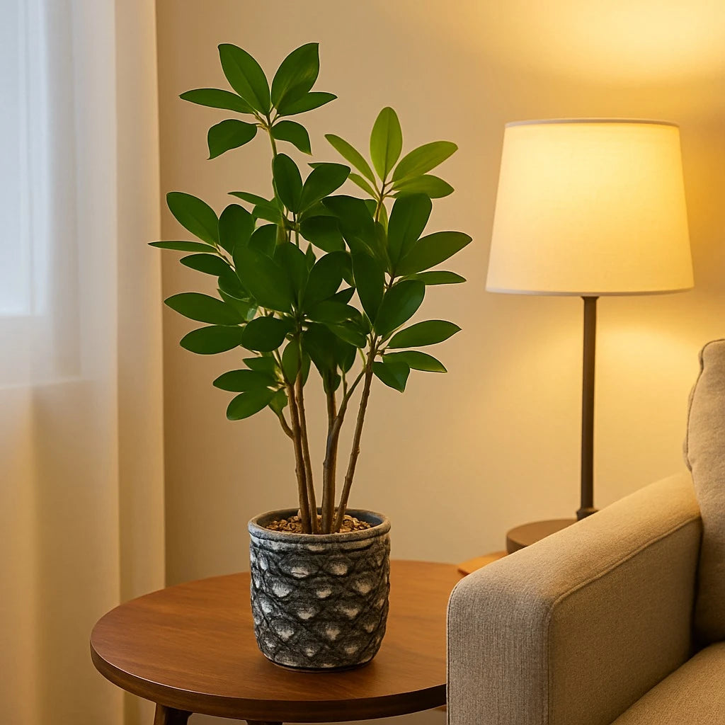 Artificial Green Plant in Textured Concrete Pot 55 cm