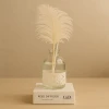 Feather Aroma Diffuser