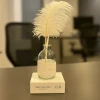 Feather Aroma Diffuser