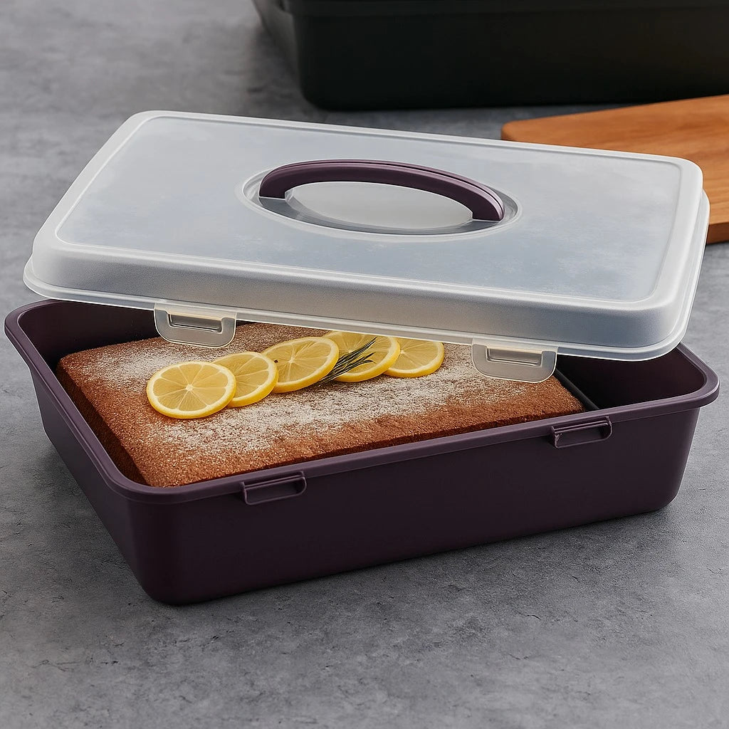 BPA Free Food Storage Container