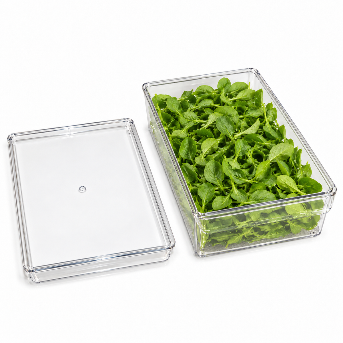 Transparent Refrigerator Storage Box with Lid