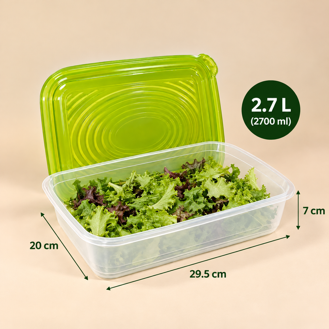 Rotho 2.7L Rectangular Food Storage Container with Lid