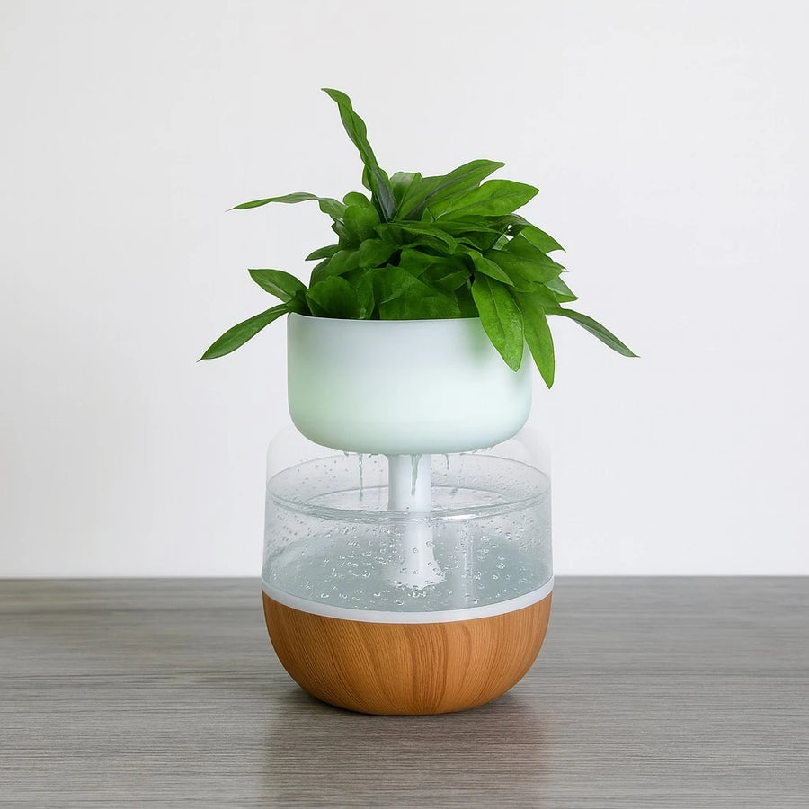 LED Rain Drop Plant Humidifier, Decorative Night Light