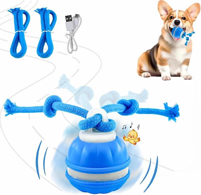 Rechargeable Interactive Rolling Pet Toy