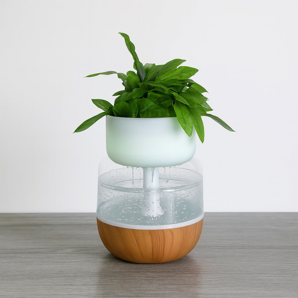 LED Rain Drop Plant Humidifier, Decorative Night Light