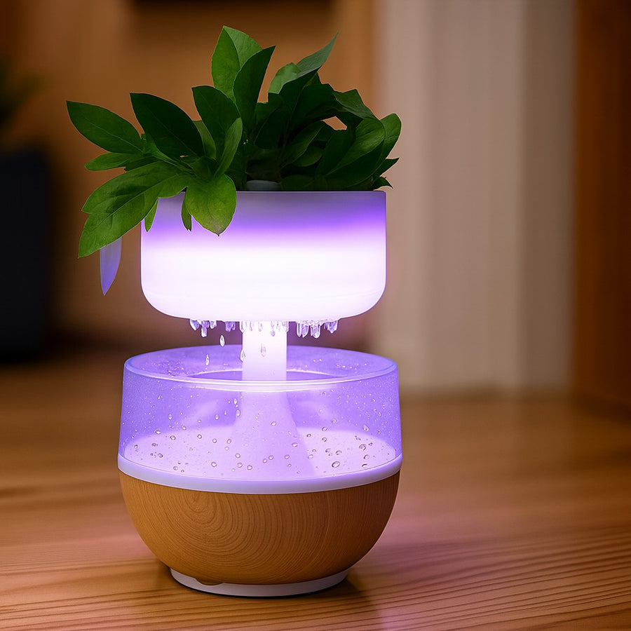LED Rain Drop Plant Humidifier, Decorative Night Light