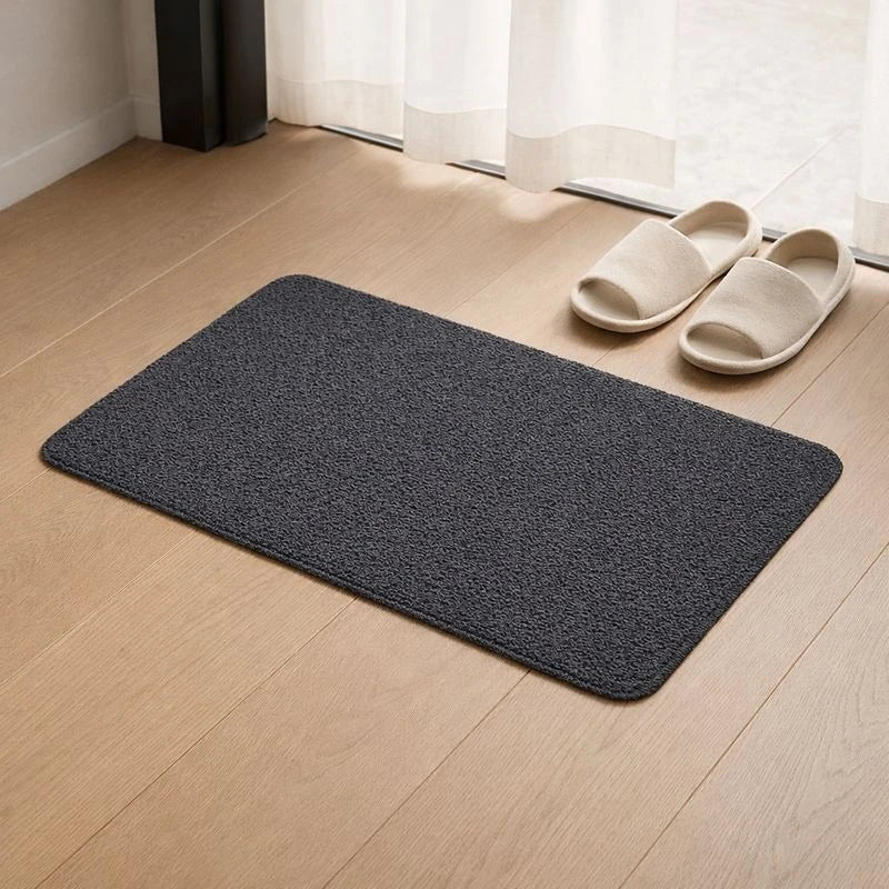 Modern Flatline Entryway Carpet