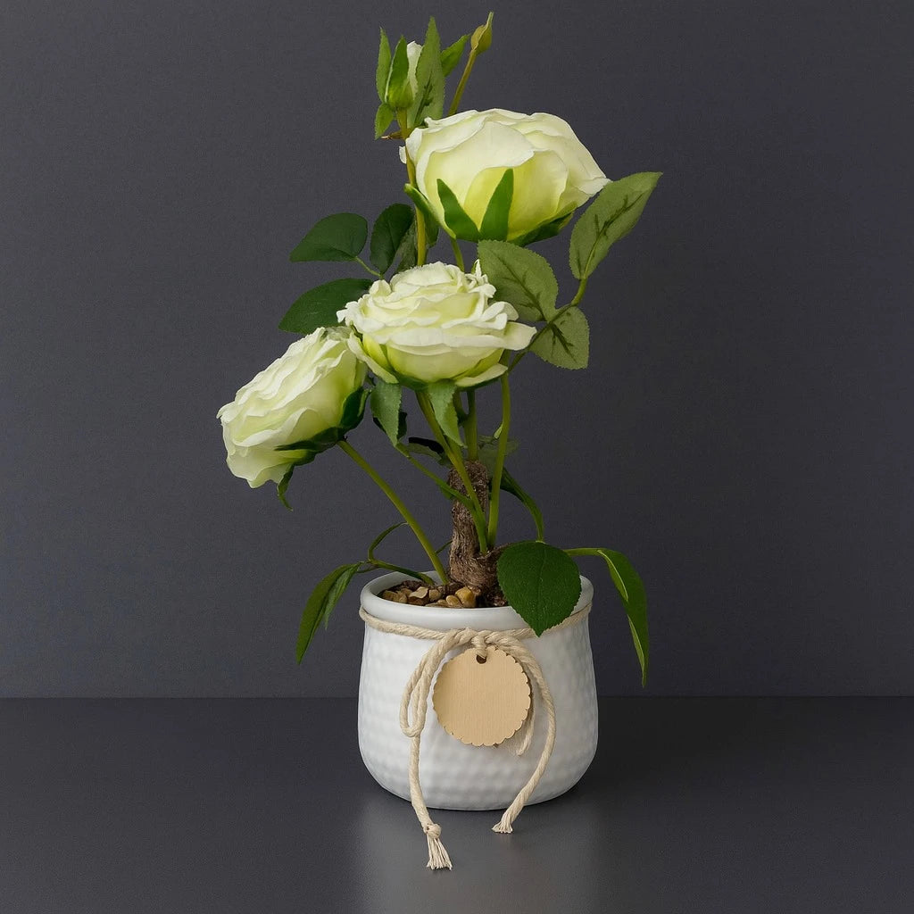 Artificial White Rose Plant in Decorative Pot-33cm - Image 1