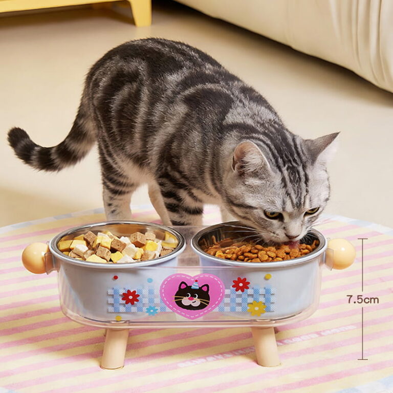 Double Stainless Steel Pet Bowl Set