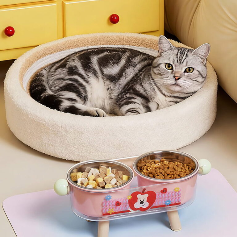 Double Stainless Steel Pet Bowl Set