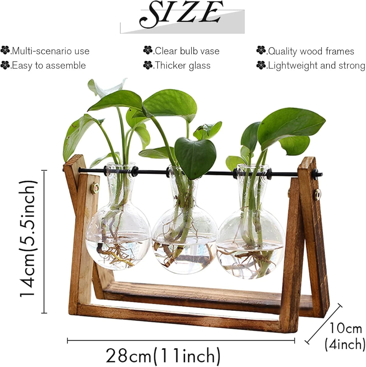 3 Vase Flower Plant Terrarium