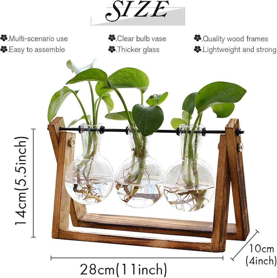 3 Vase Flower Plant Terrarium with Natural Wood Stand and Glass Vases for Plant Cuttings and Home Décor