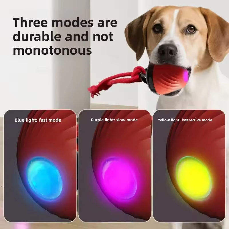 Rechargeable Interactive Dog Ball with Rope
