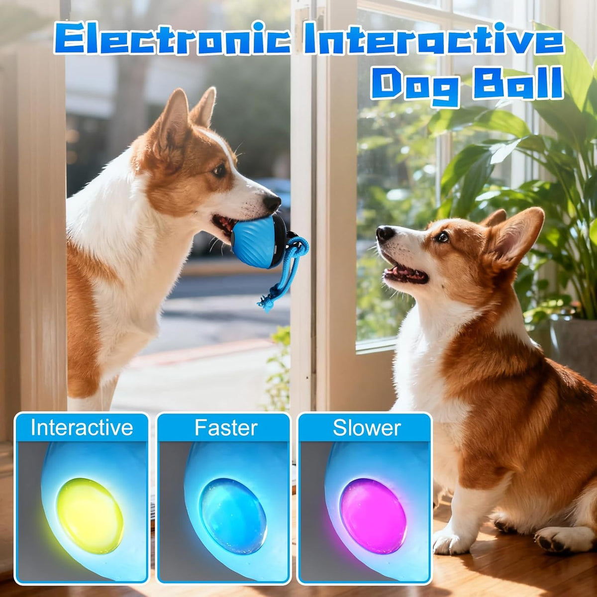 Rechargeable Interactive Dog Ball with Rope
