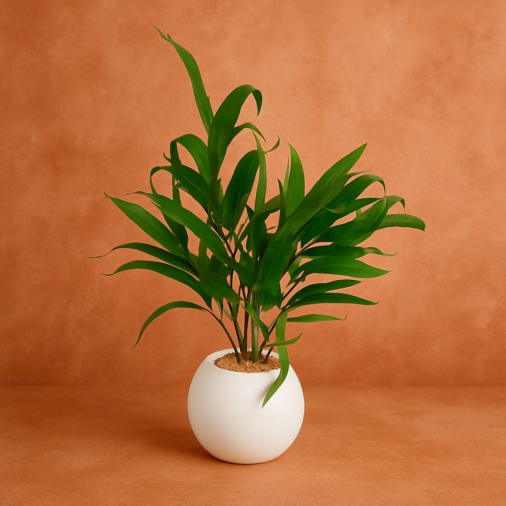 Modern Artificial Plant in Pot - Image 2