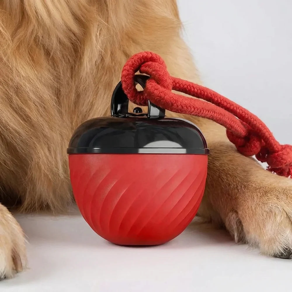Rechargeable Interactive Dog Ball with Rope