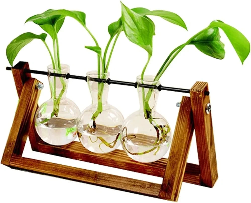 3 Vase Flower Plant Terrarium with Natural Wood Stand and Glass Vases for Plant Cuttings and Home Décor