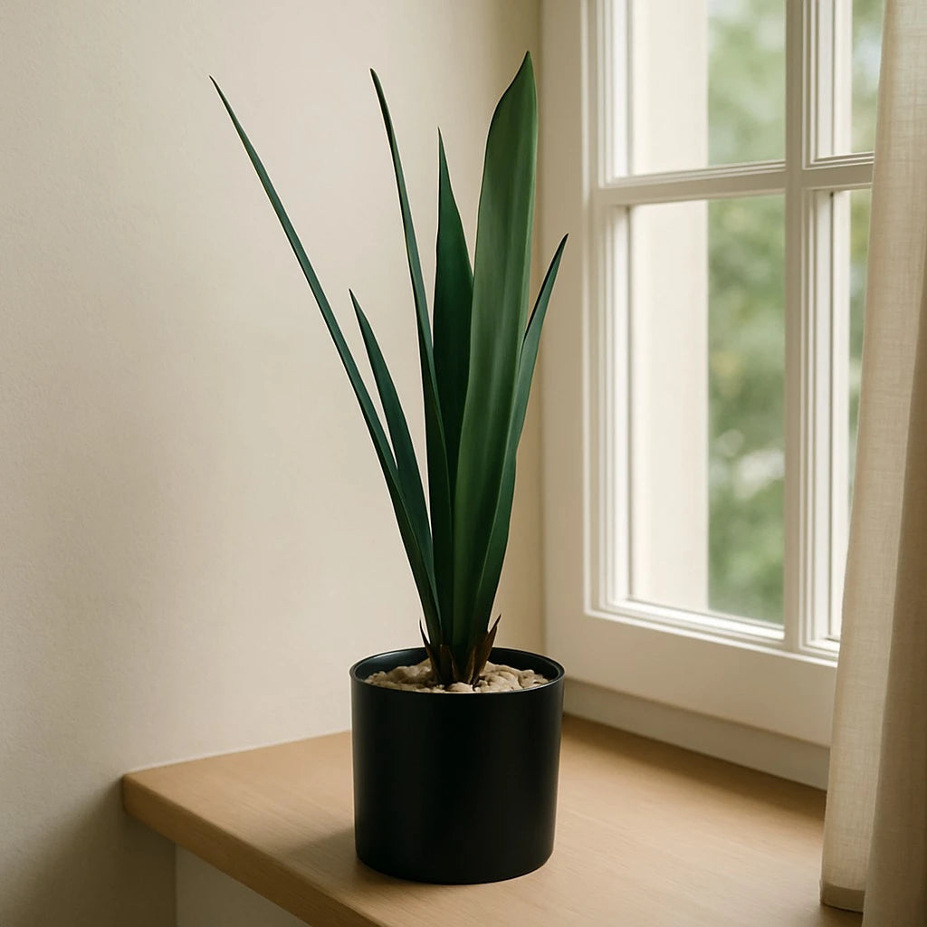 Artificial Dracaena Rubber-Leaf Plant – 50 cm