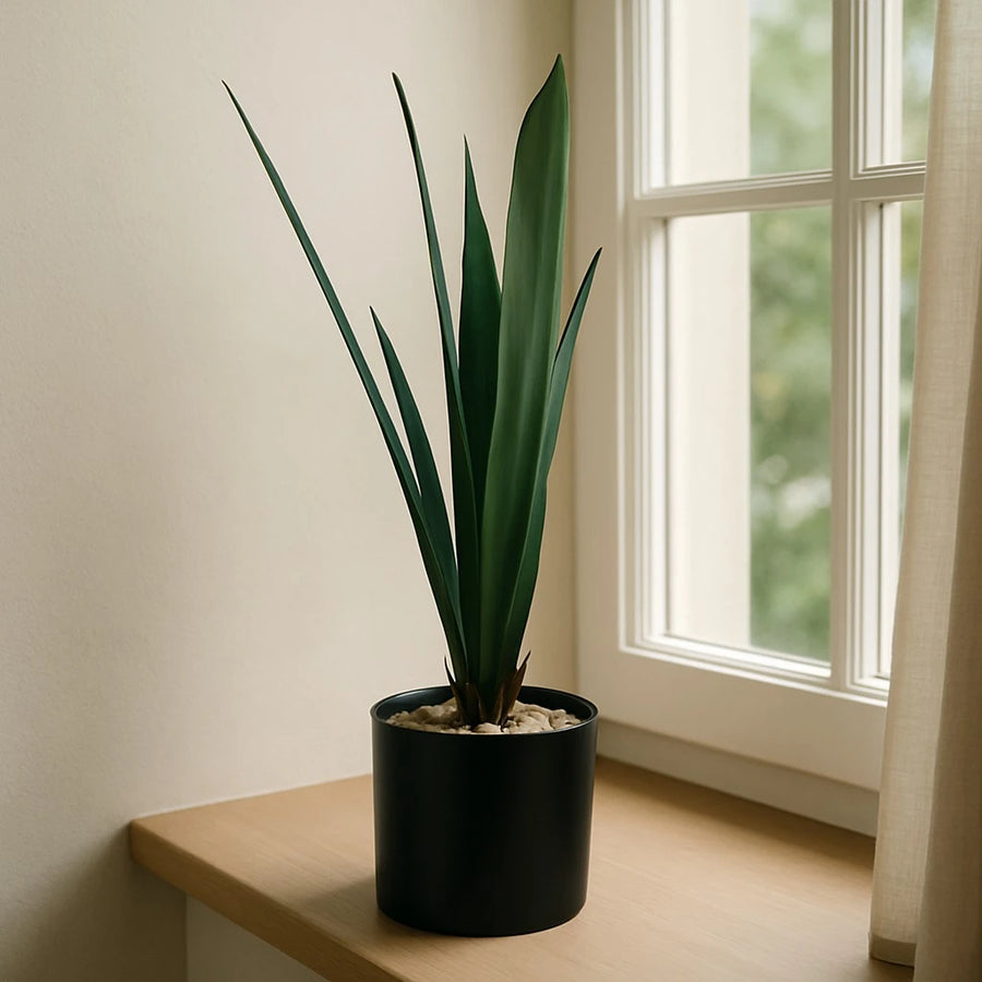 Artificial Dracaena Rubber-Leaf Plant – 50 cm