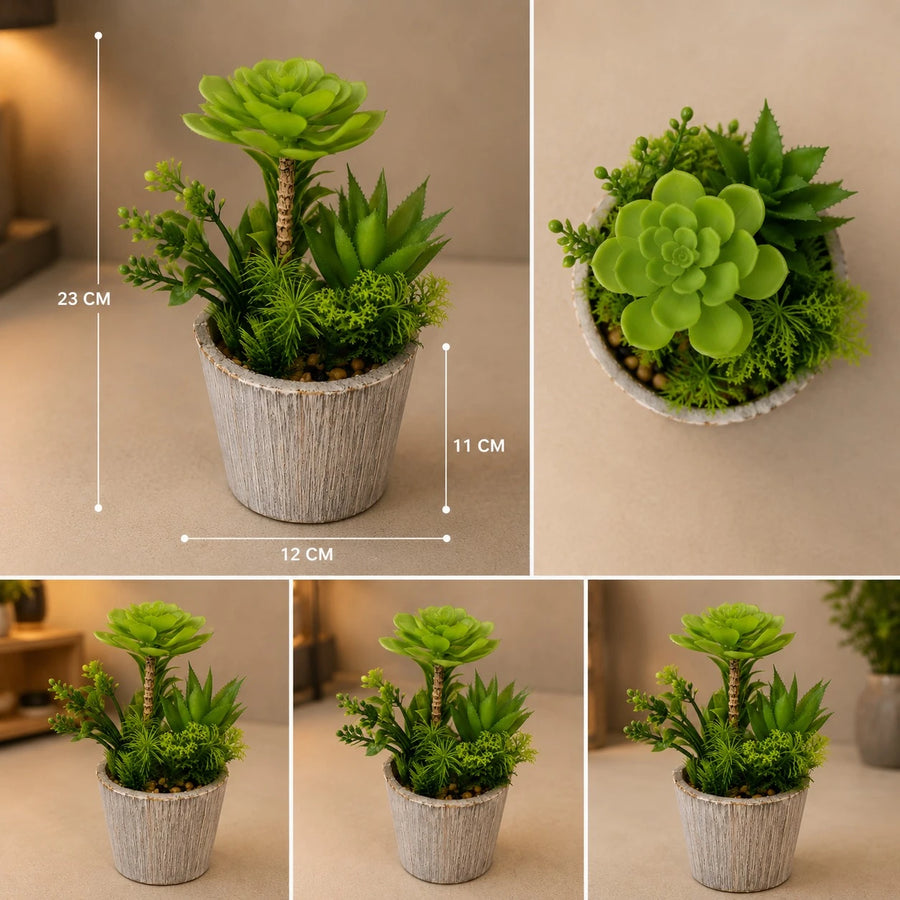 Artificial Succulent Garden Arrangement Decorative Plant Pot Indoor Tabletop Home Office Decor