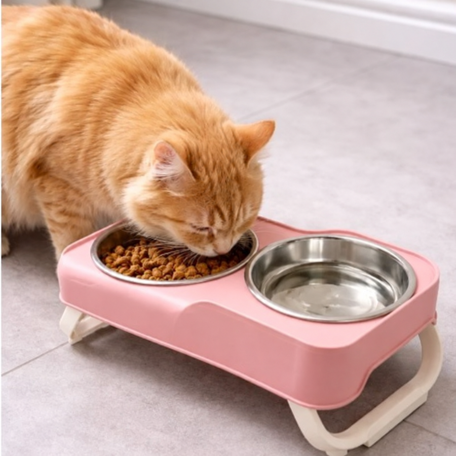 Double Stainless Steel Pet Bowls with Convertible Raised Stand