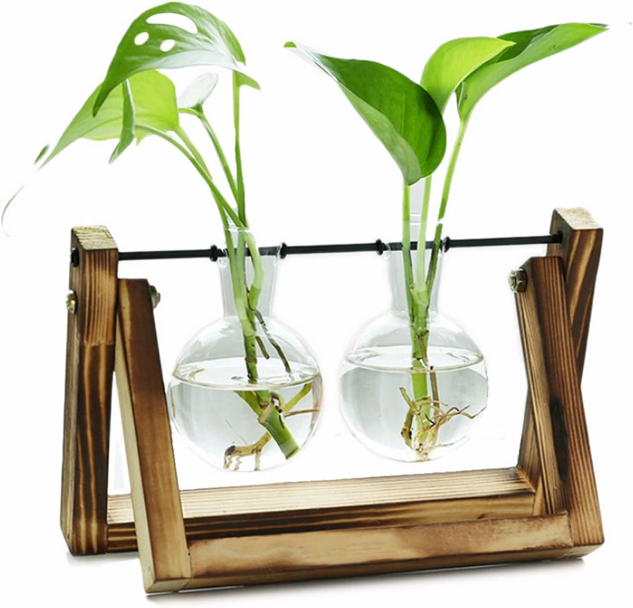 2 Vase Flower Plant Terrarium