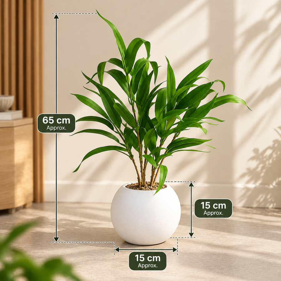 Modern Artificial Green Plant in White Round Pot
