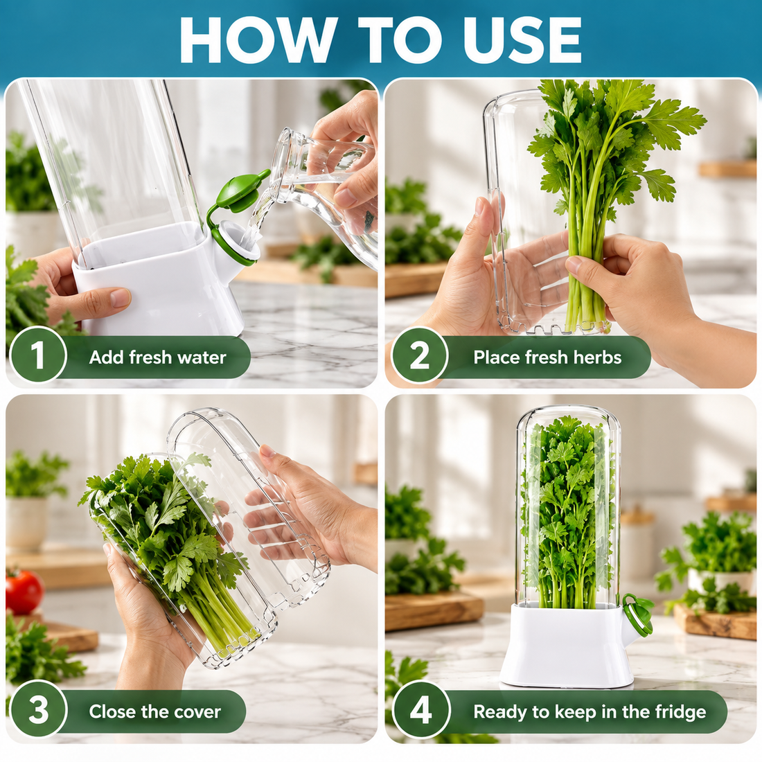 Fresh Herb Saver Refrigerator Storage Container