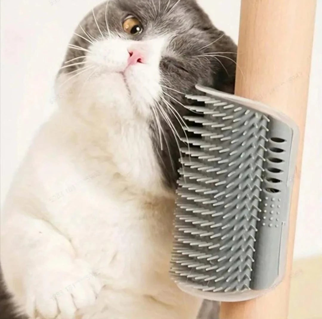 Cat Scratcher Massager Comb - Image 3
