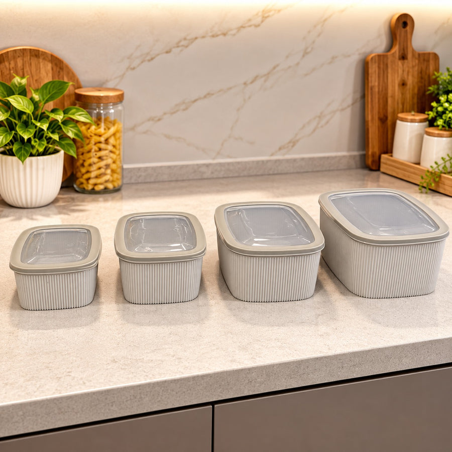 4 Piece Kitchen Food Storage Container Set with Translucent Lids