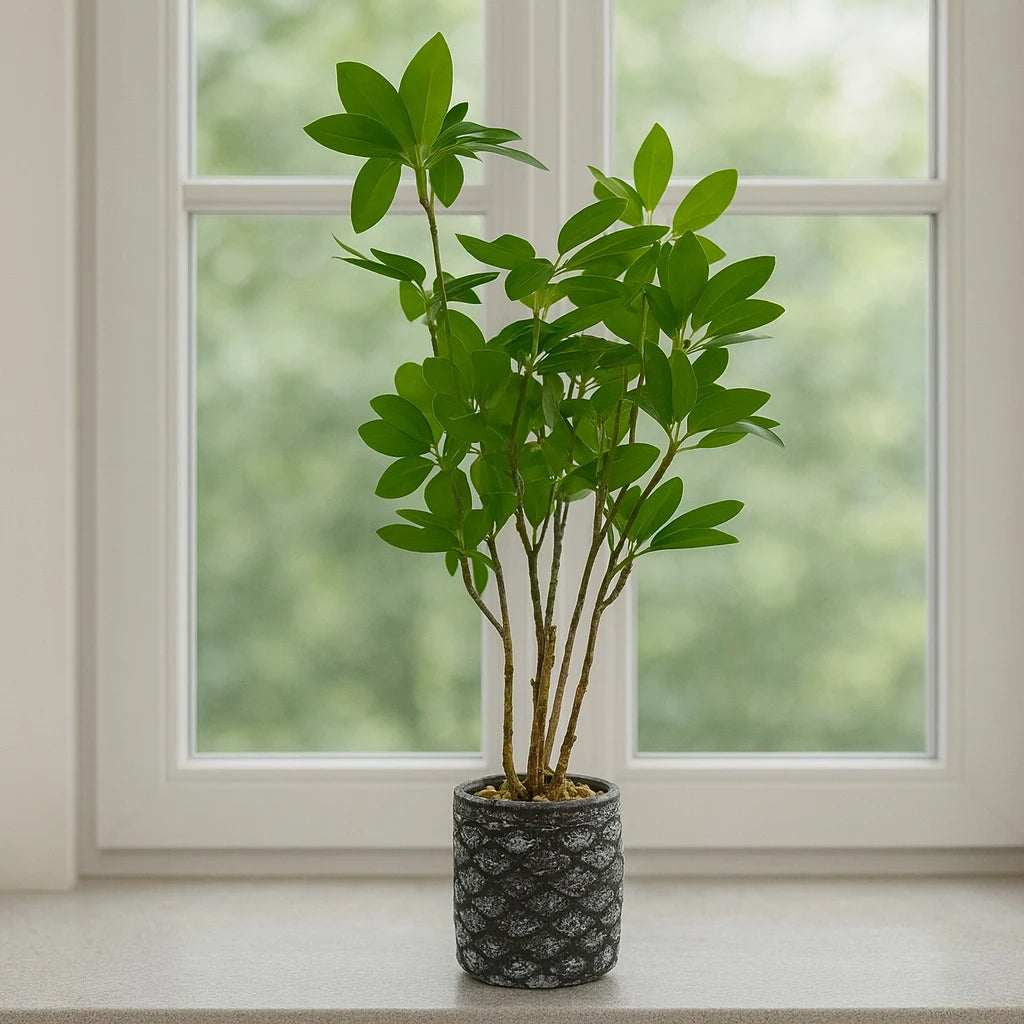 Artificial Green Plant in Textured Concrete Pot – 55 cm