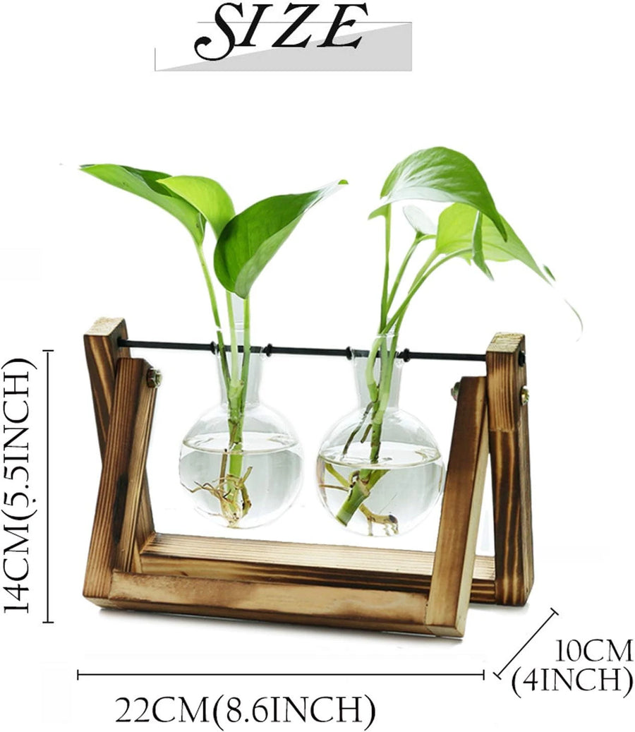 2 Vase Flower Plant Terrarium