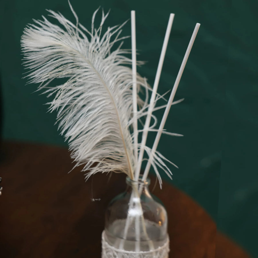 Feather Aroma Diffuser