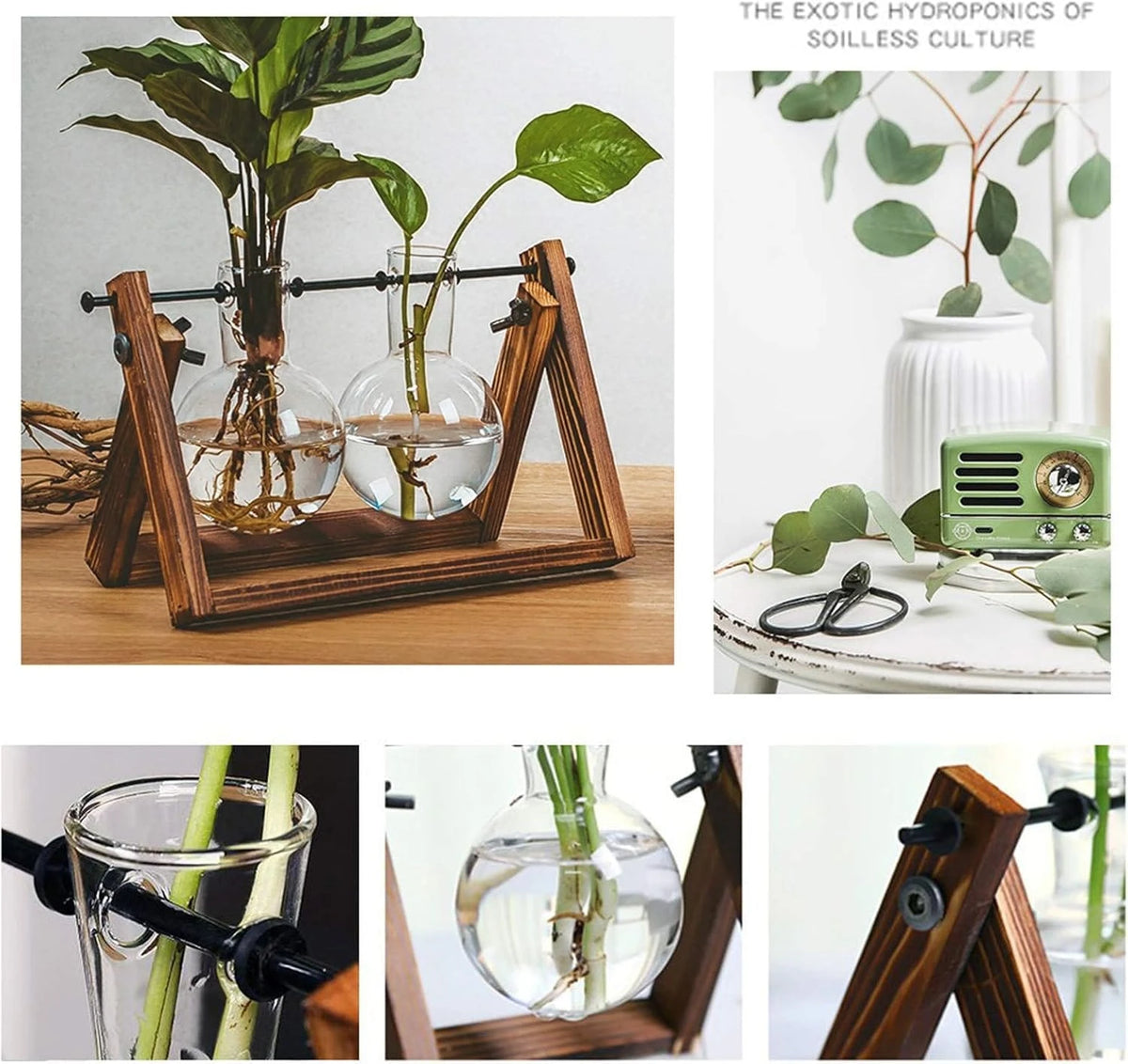 2 Vase Flower Plant Terrarium