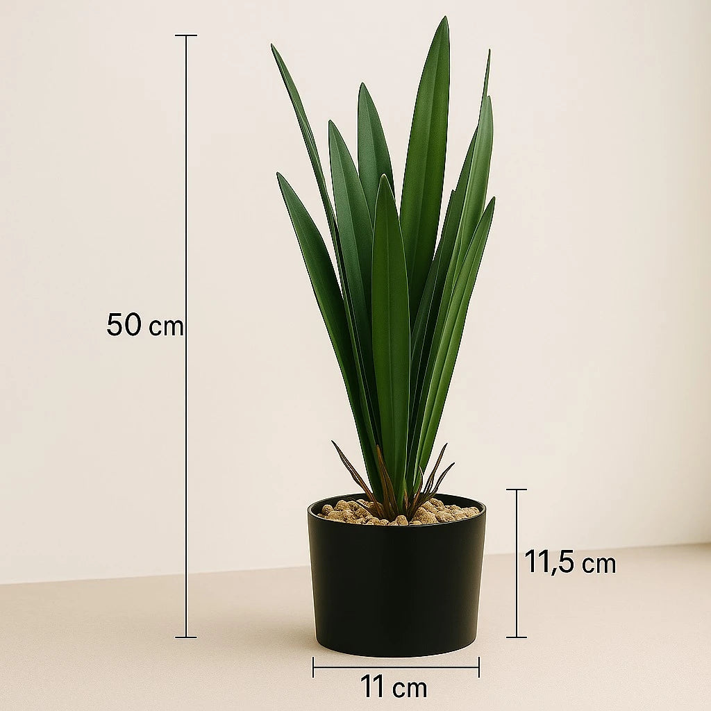 Artificial Dracaena Rubber-Leaf Plant – 50 cm