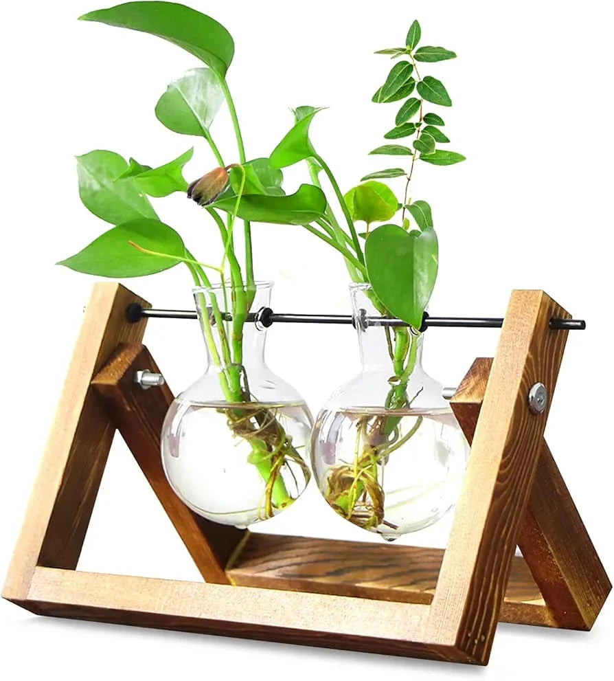 2 Vase Flower Plant Terrarium