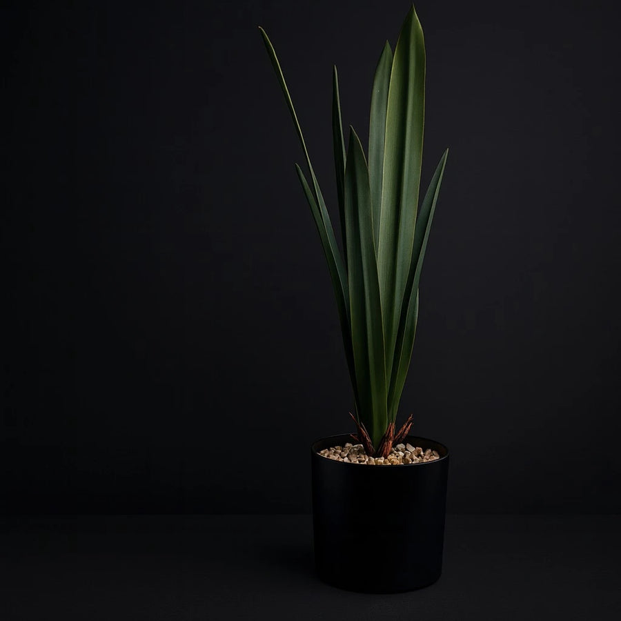Artificial Dracaena Rubber-Leaf Plant – 50 cm