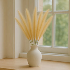 10 Stem Bundle Pampas Grass