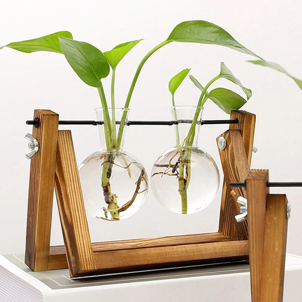2 Vase Flower Plant Terrarium