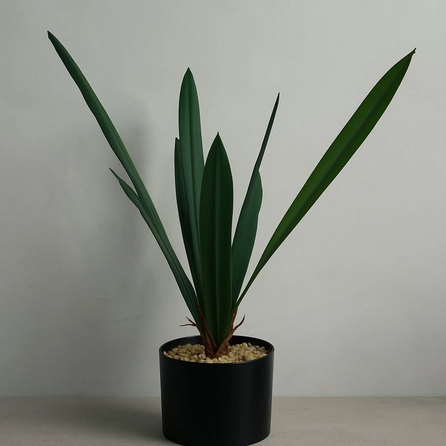 Artificial Dracaena Rubber-Leaf Plant – 50 cm