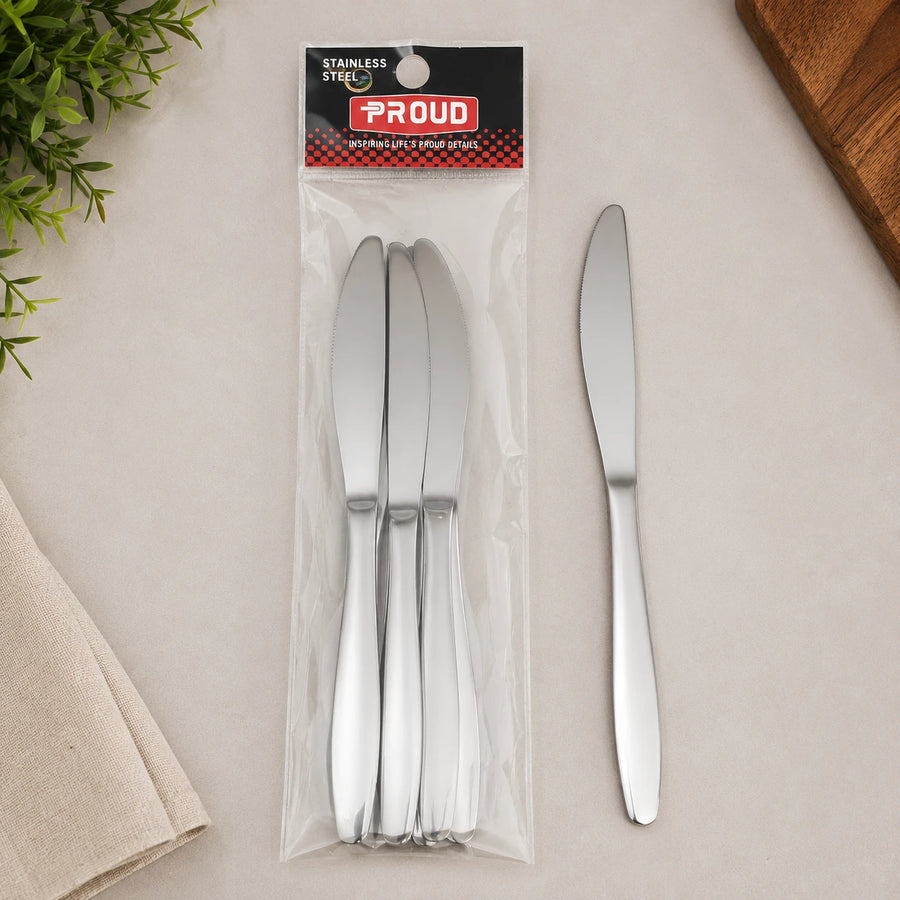 Stainless Steel Dinner Knife Set of 6 Mirror Table Knives